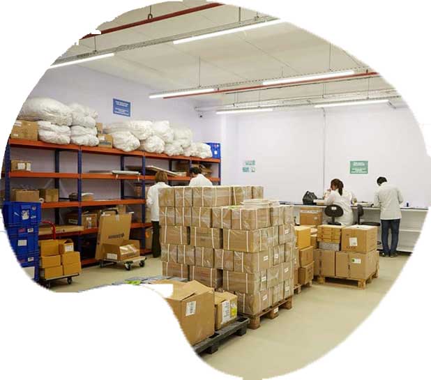 Buenos Firma Profili